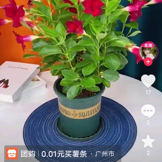 谁懂我心