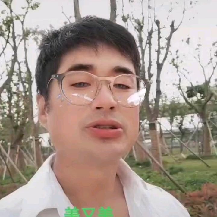 🌴平安快乐🌴