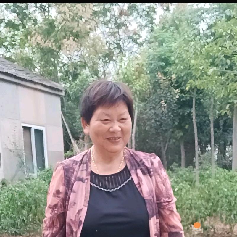 白牡丹（手机摄影）