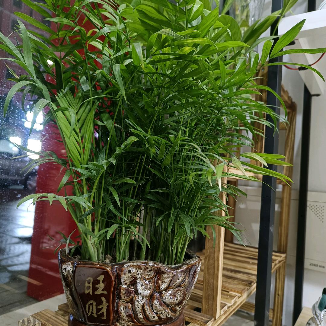 温圳老北京布鞋（京城印象）