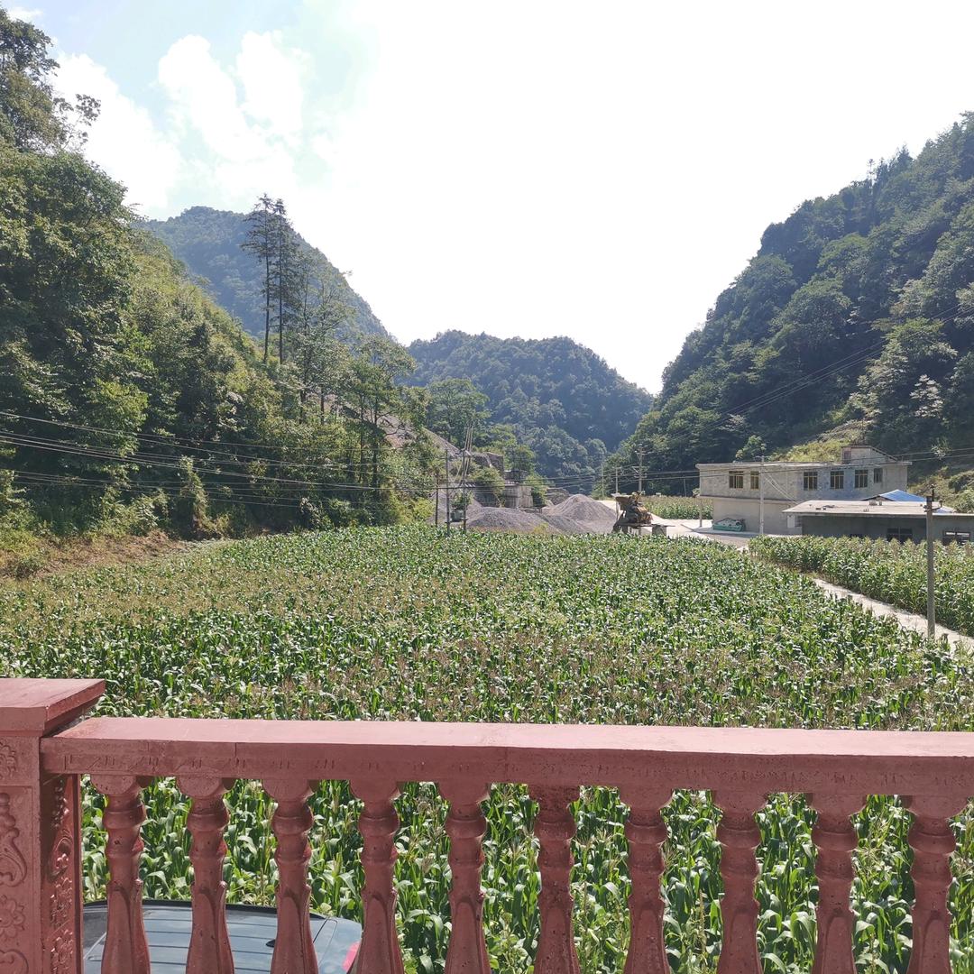 春天一阁