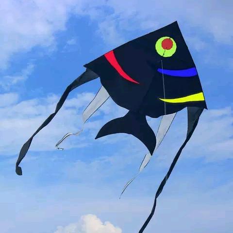 金展翼风筝