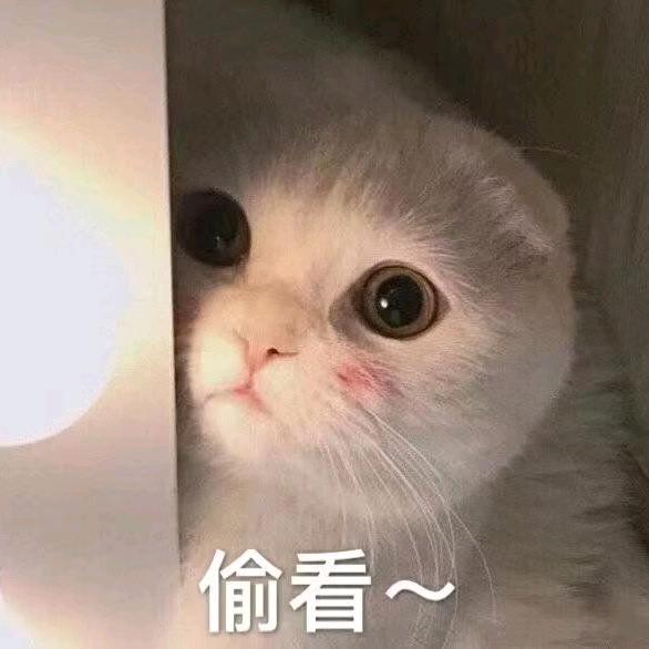 鸣潮星铁原神