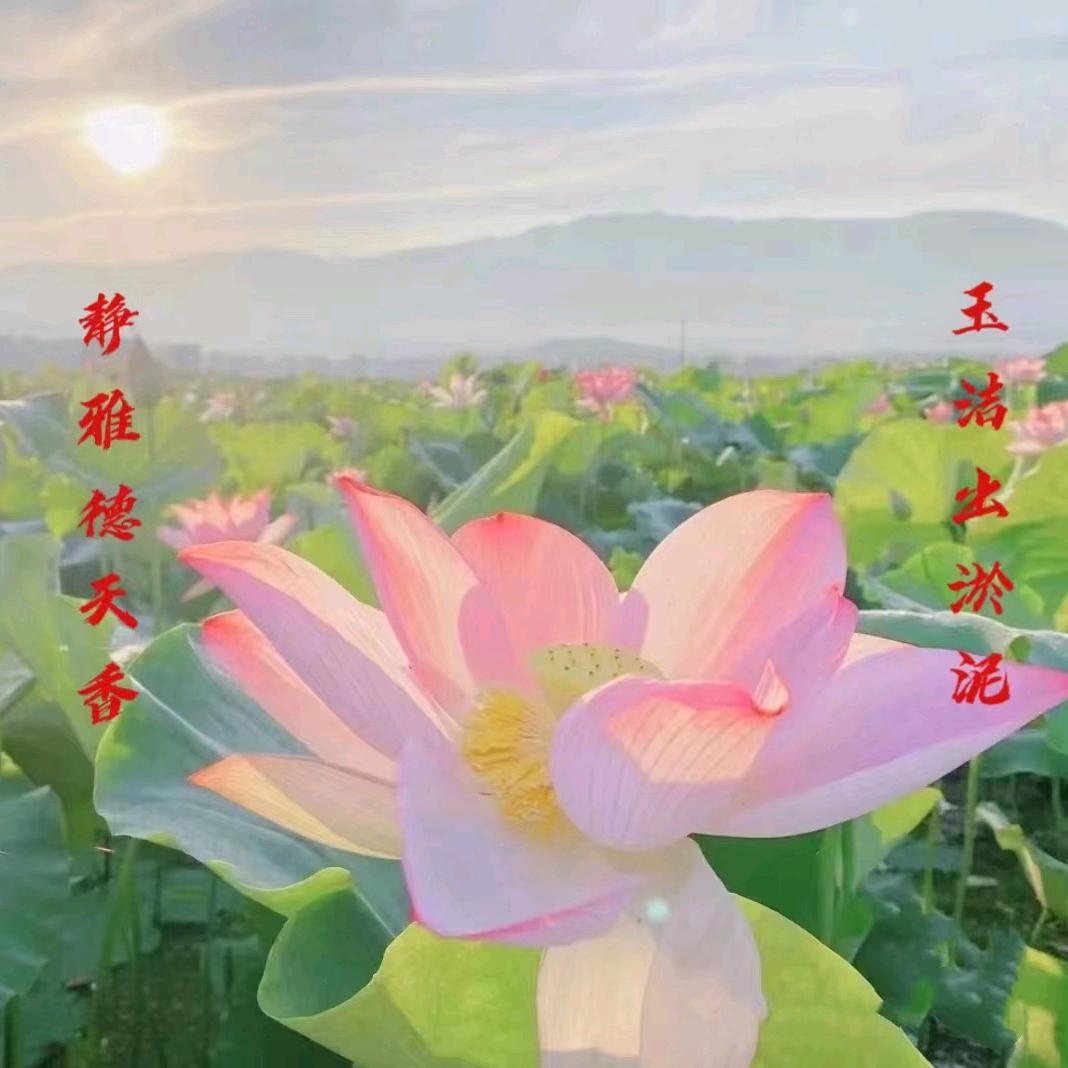 张国庆