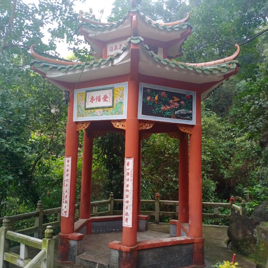 🔥帅帅的斑斑马⁶⁸¹