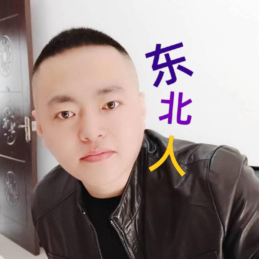 东北话翻译(龙哥)