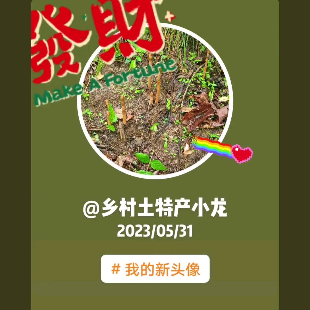 乡村土特产小龙