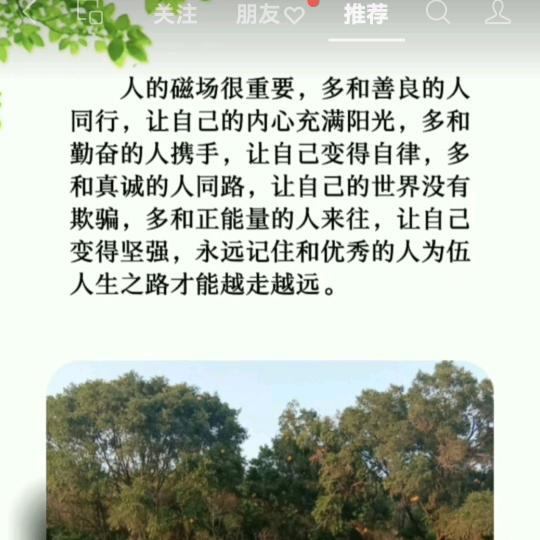 芷若有爱