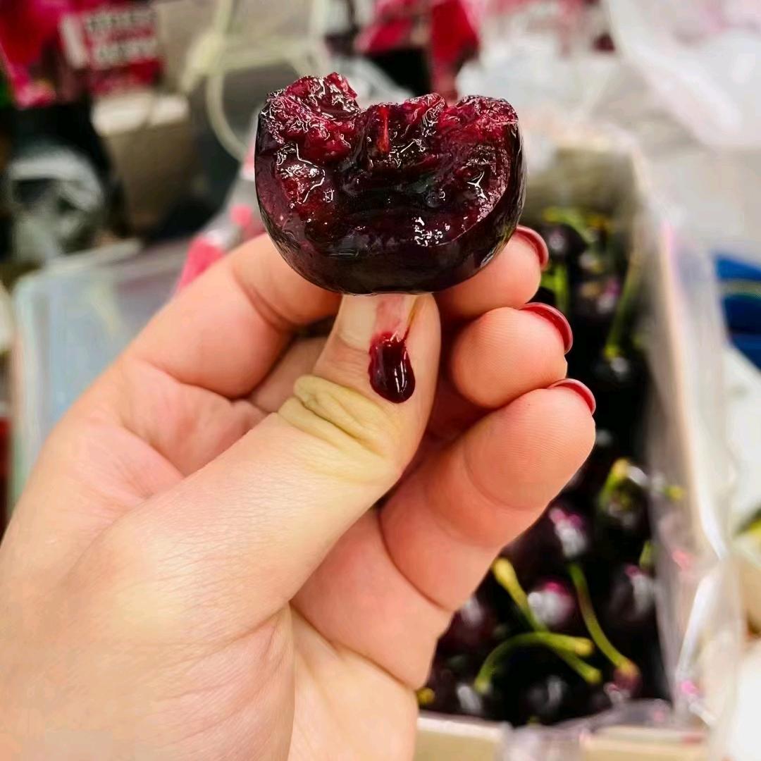 莫克切叶阿骆驼