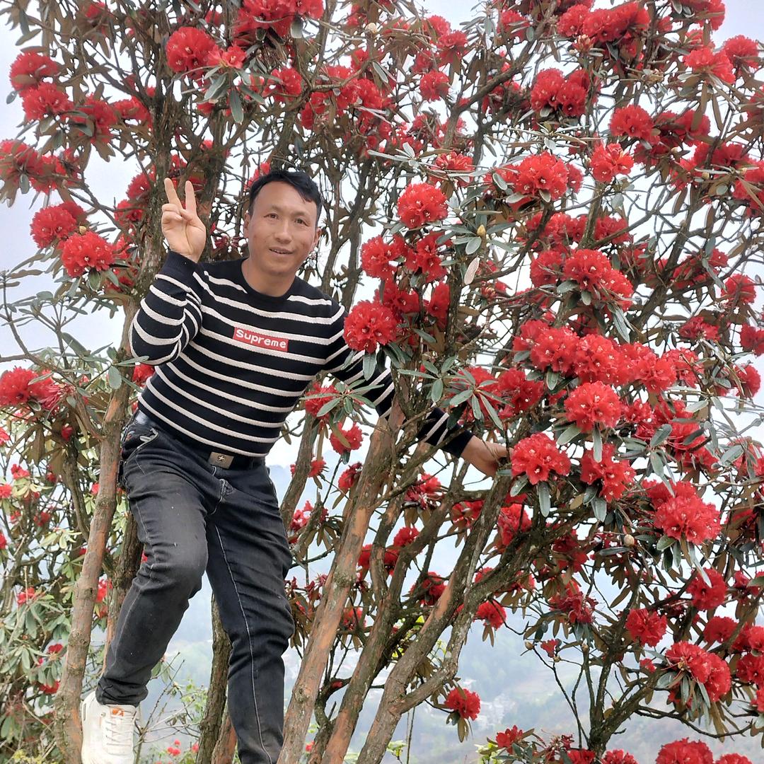 织金小吴刚