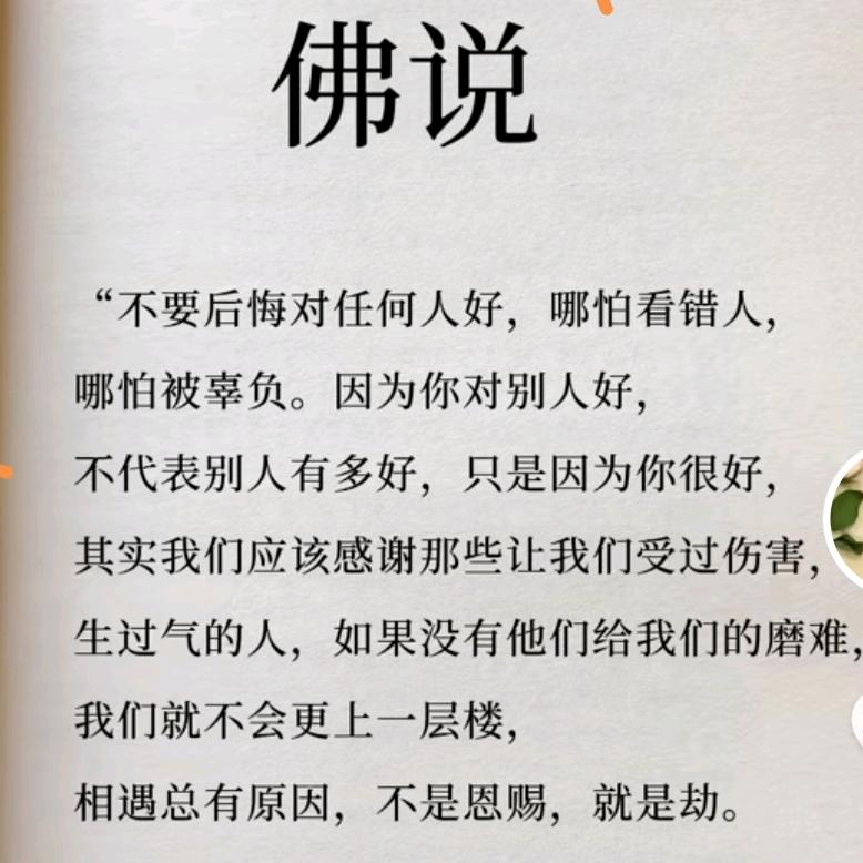 喜欢猫科动物