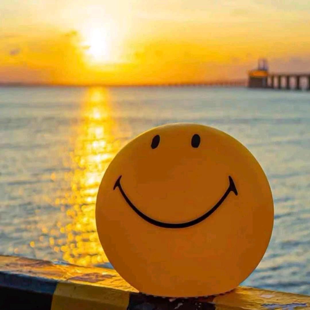 ✨風行萬里✨♡