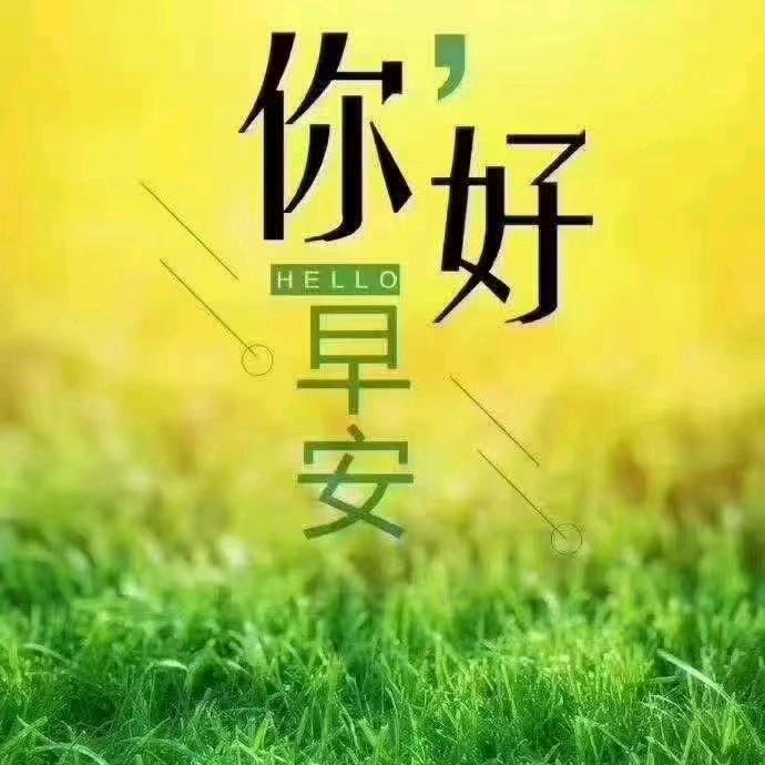 情感文案*雨晴*