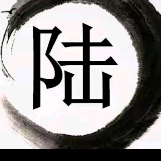 陆总