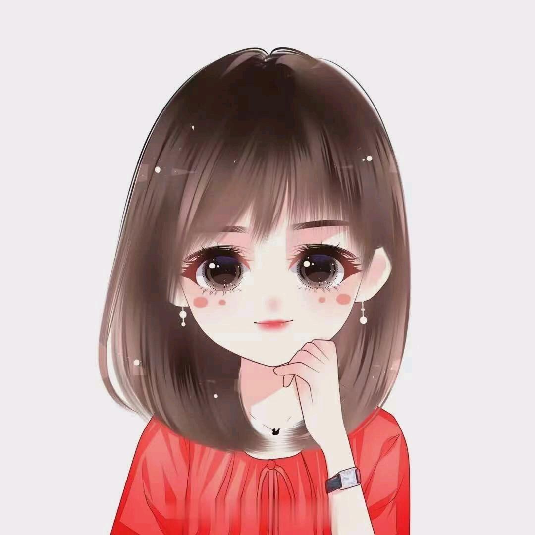 【加急登记】售后指导✔