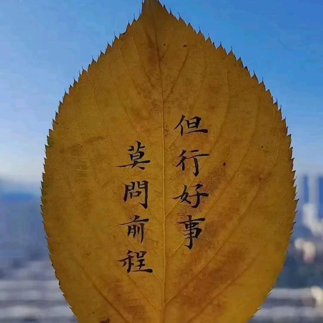 棉花糖～
