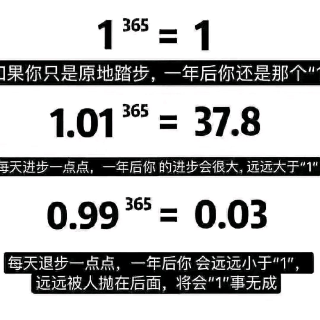 随意随性随缘
