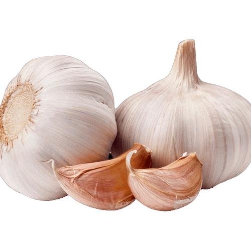 家乡农产品批发部