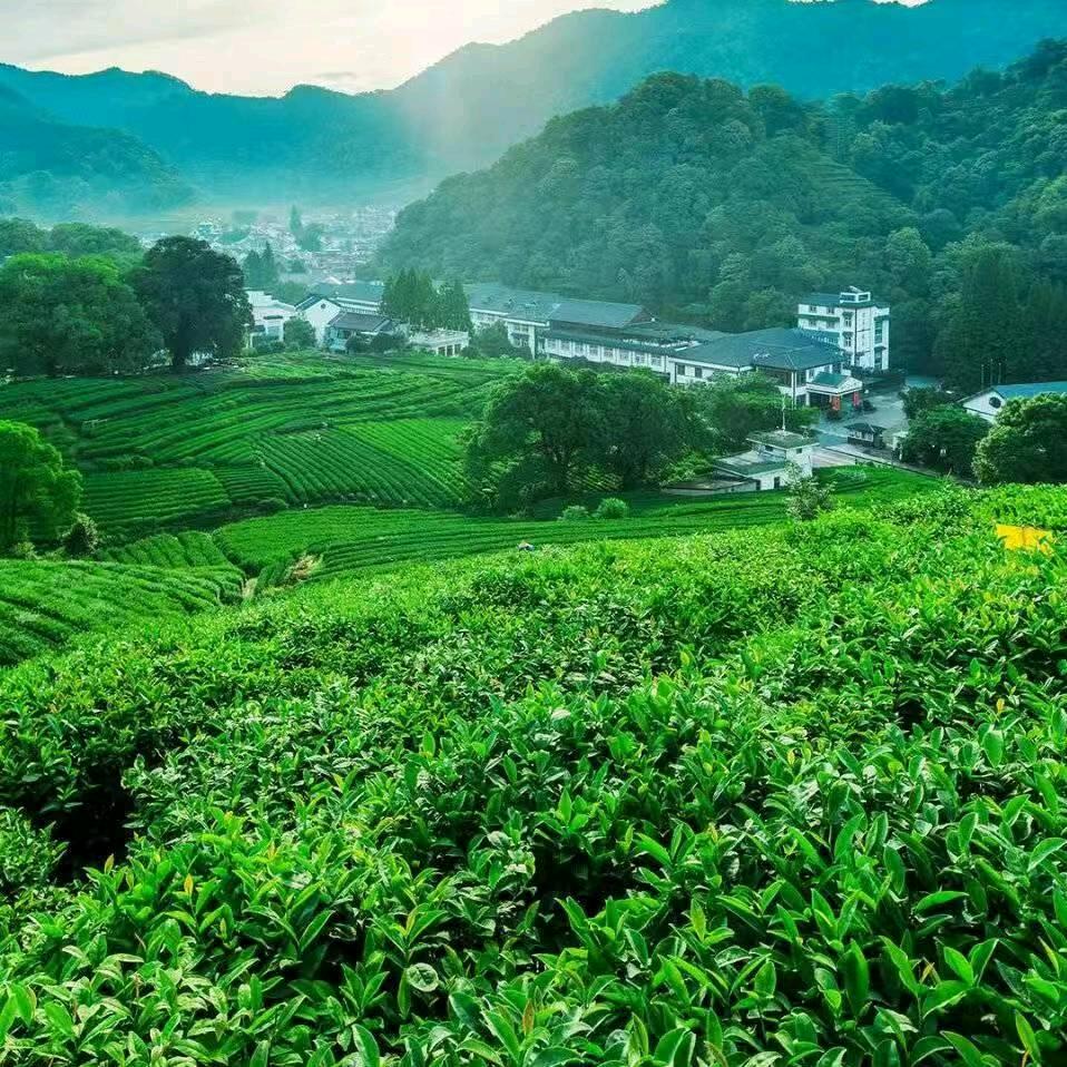 夏禾代