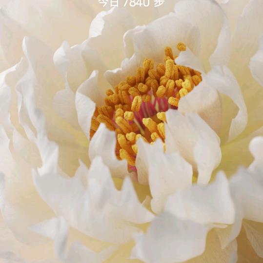 珍惜才会拥有。失去别忘追回。