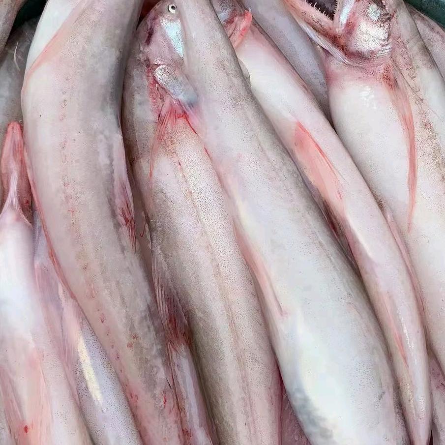 汕头市澄海区阿涛水产店