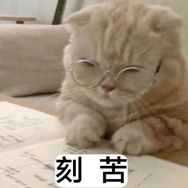 墨夜月落