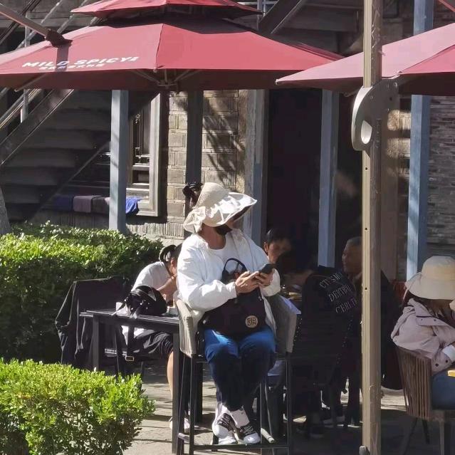 寻芳