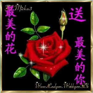 人生淡漠