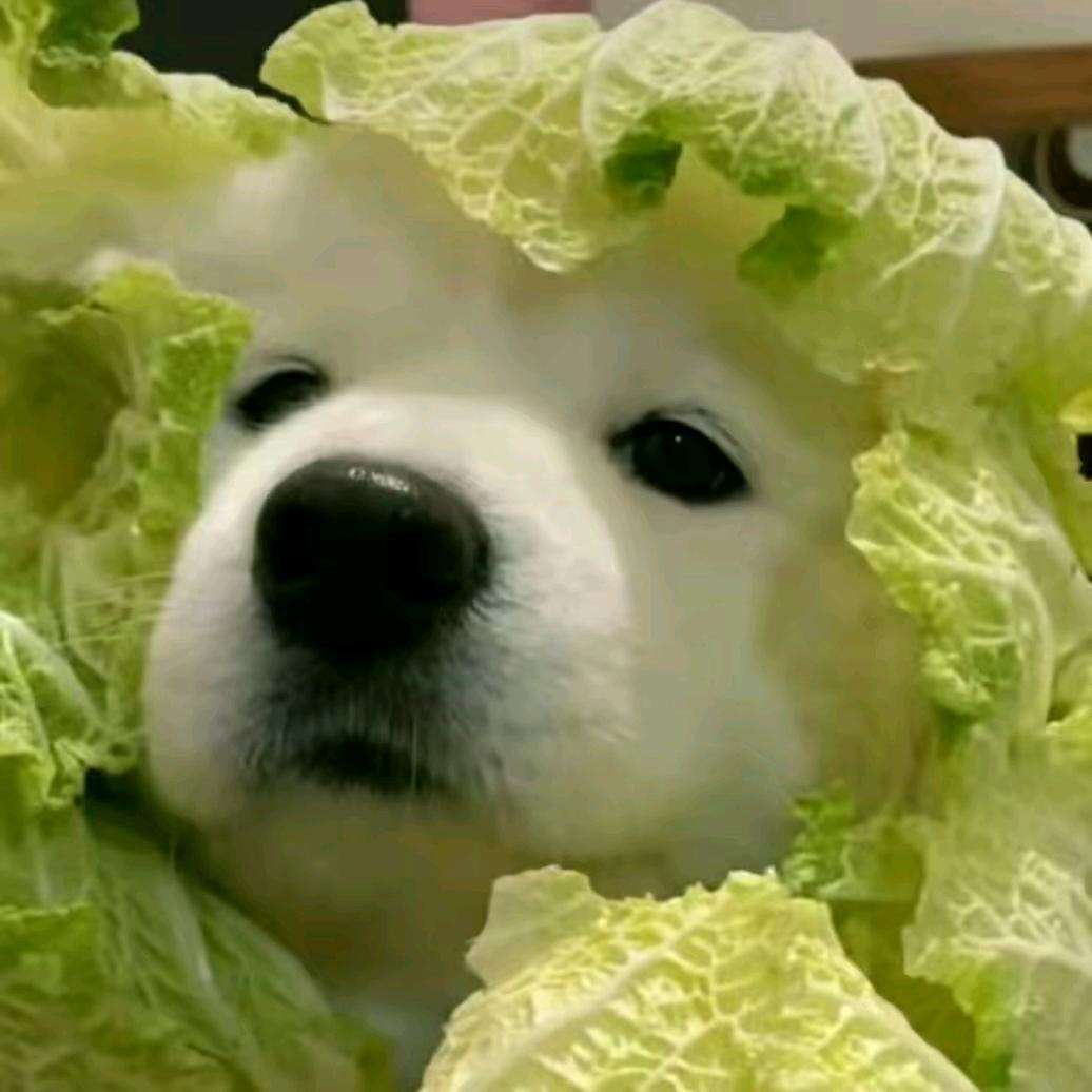 白给