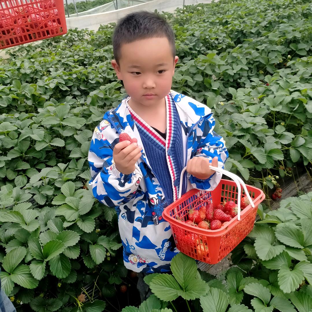 瞳瞳宝贝240376755