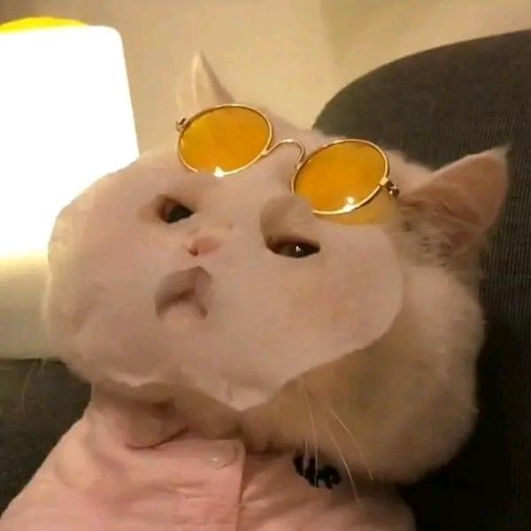 花满楼¿