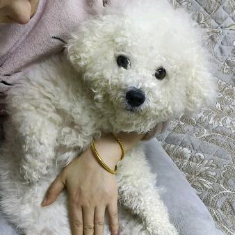 忧郁大叔~滕州家电