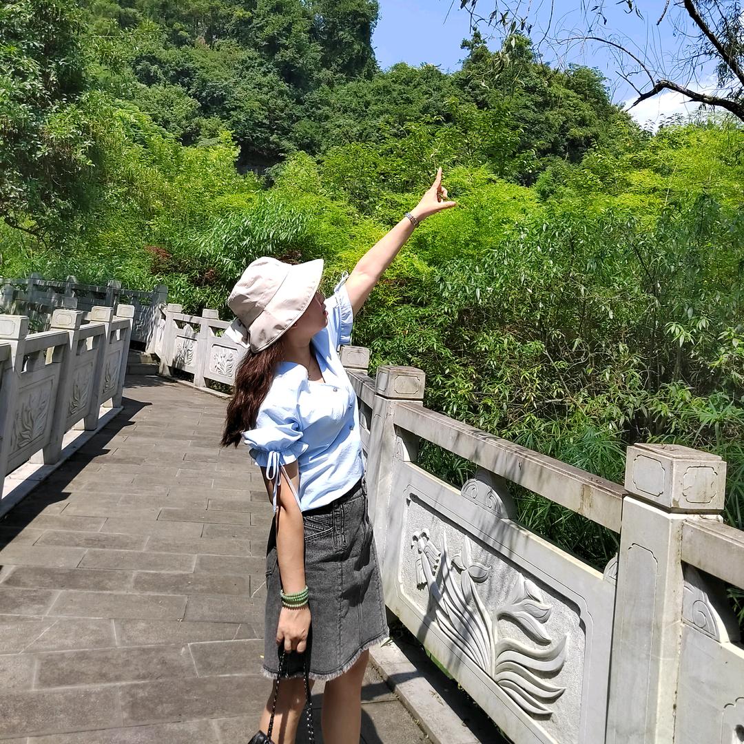 随风去流浪