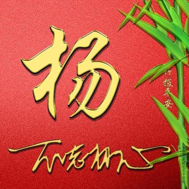 科宇电器一香菇