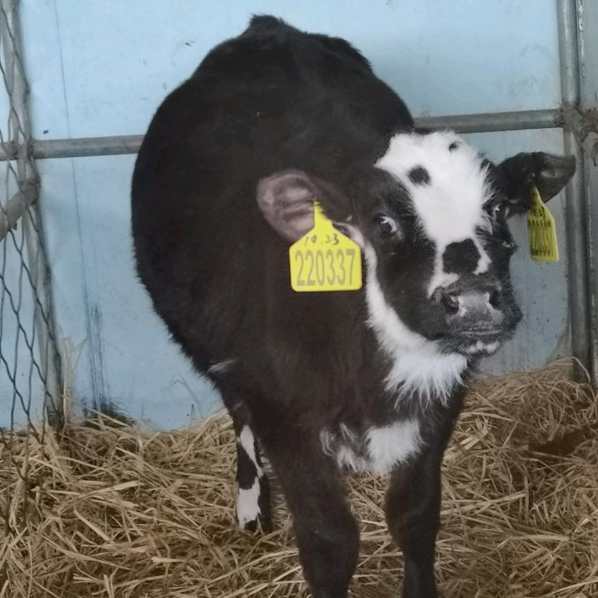 小邱精品严选店