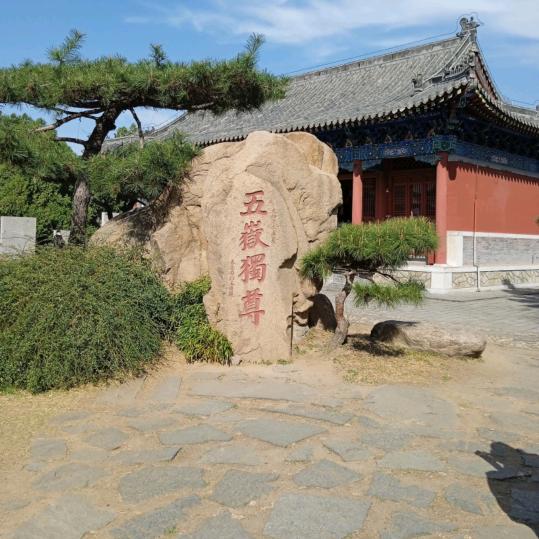 大鹏