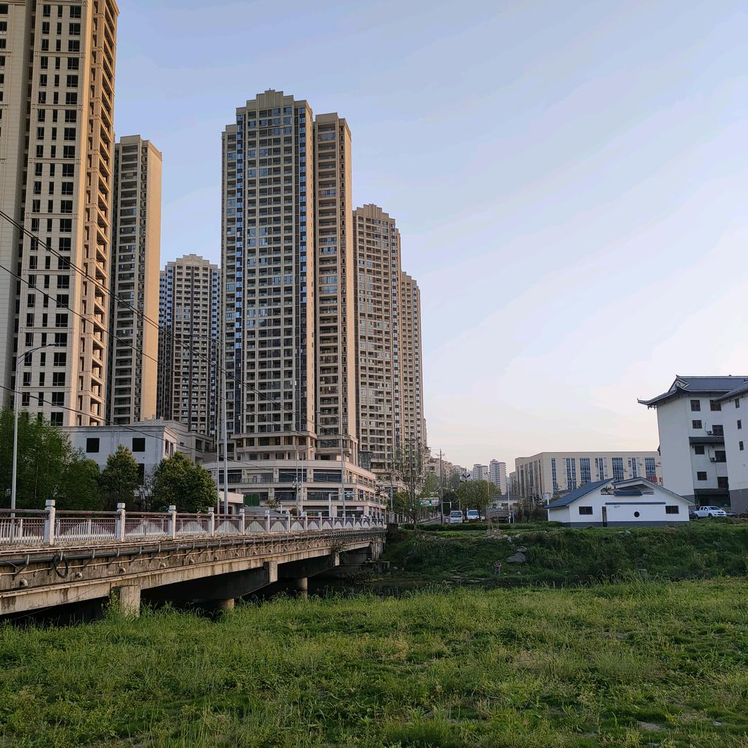 凤凰，小陈