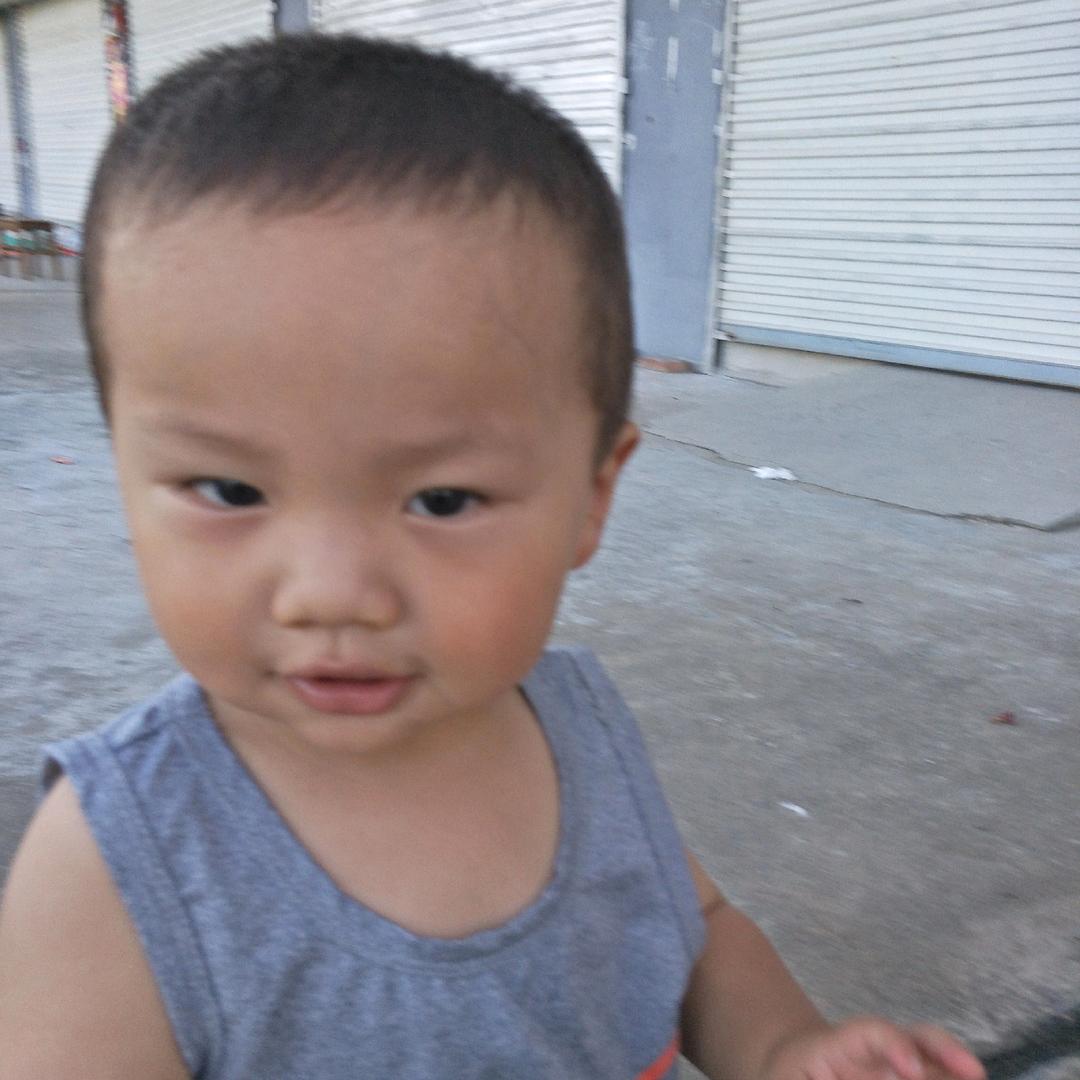 陈家码头