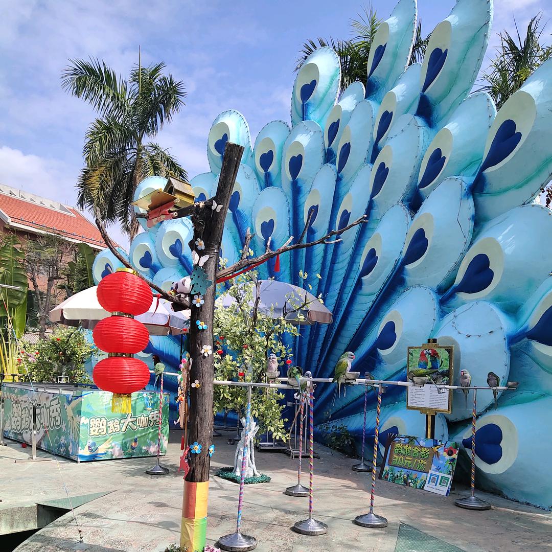 🚬到头终是灰.故事到头终是悲