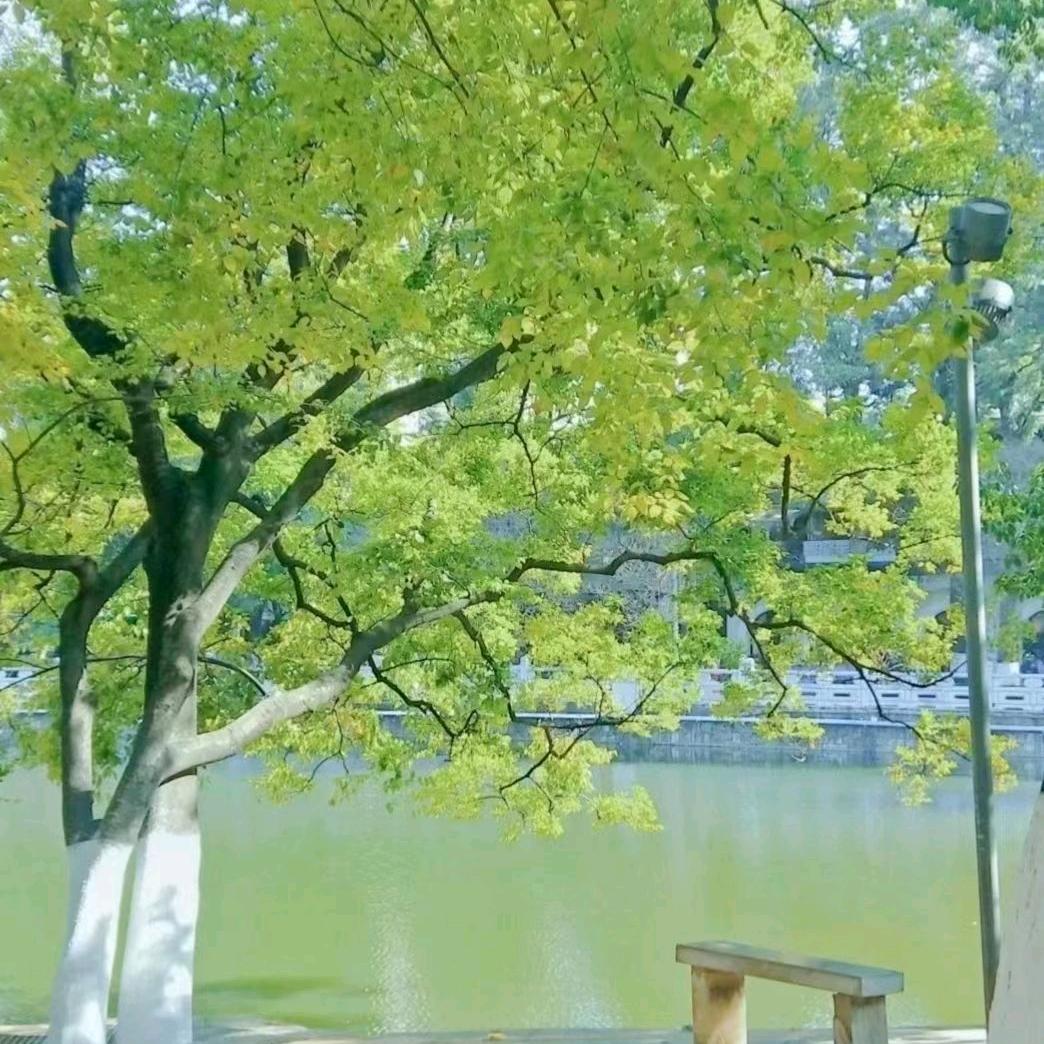 大侠