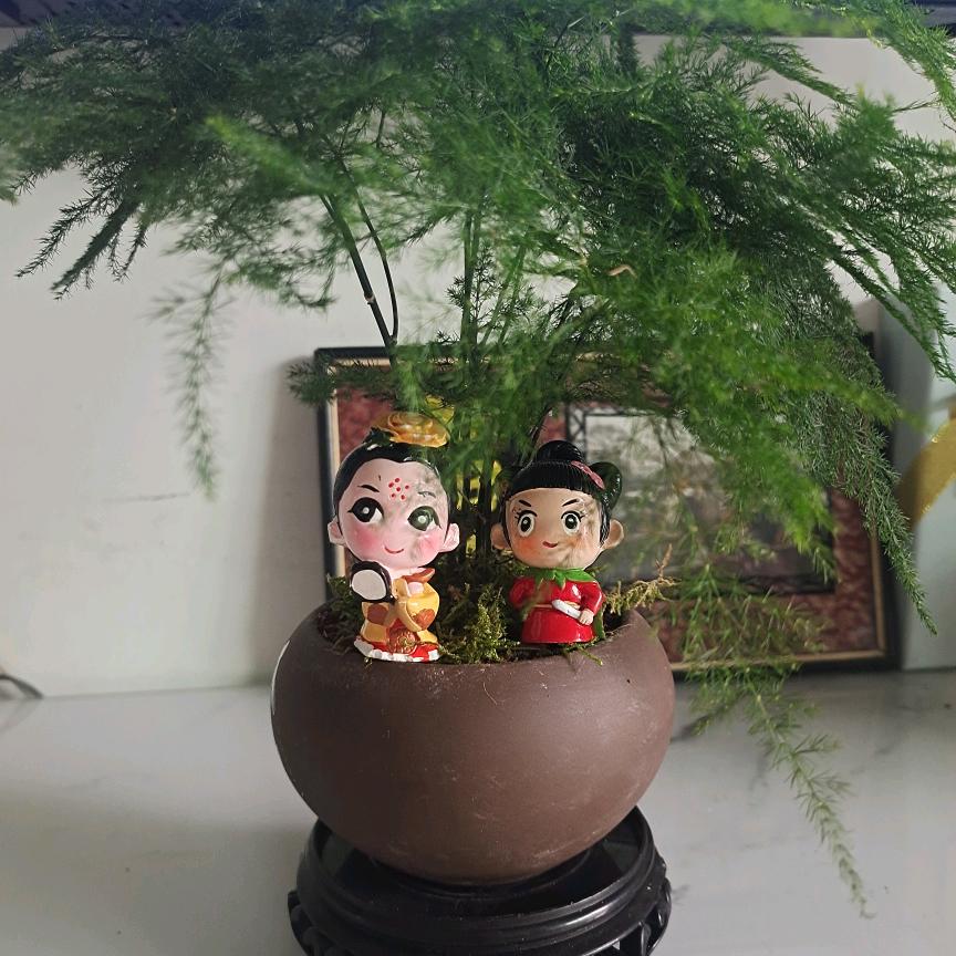 企鹅哥