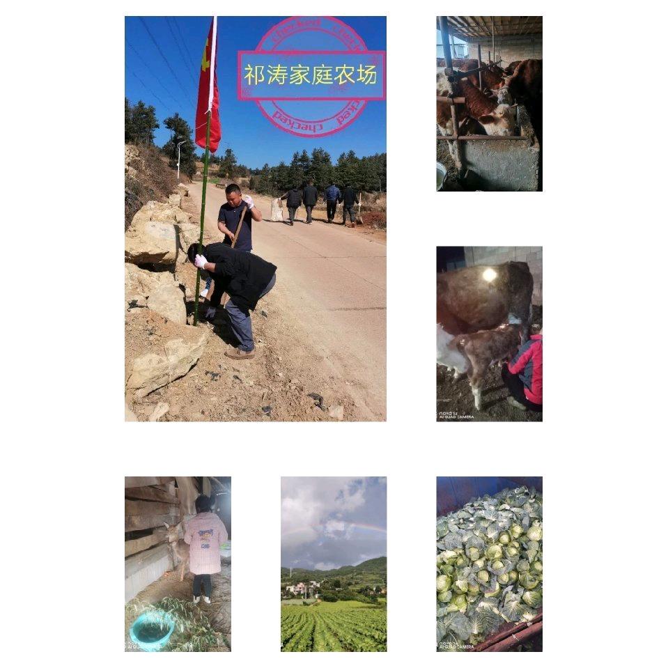 祁涛家庭农场