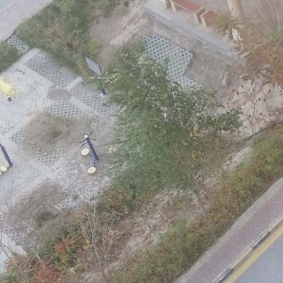 心静自然凉凉