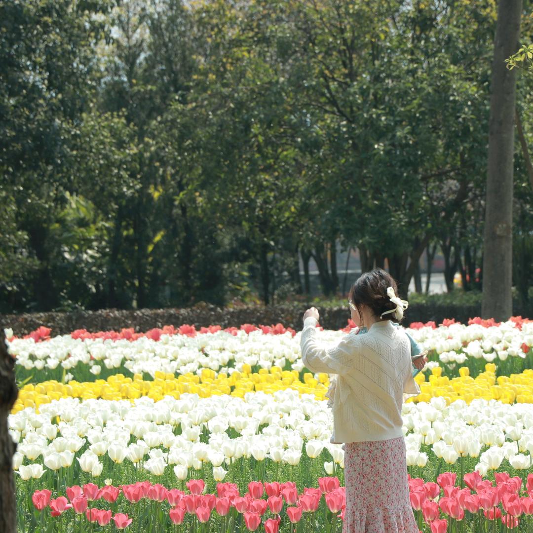 桃之夭夭其叶蓁蓁🌷