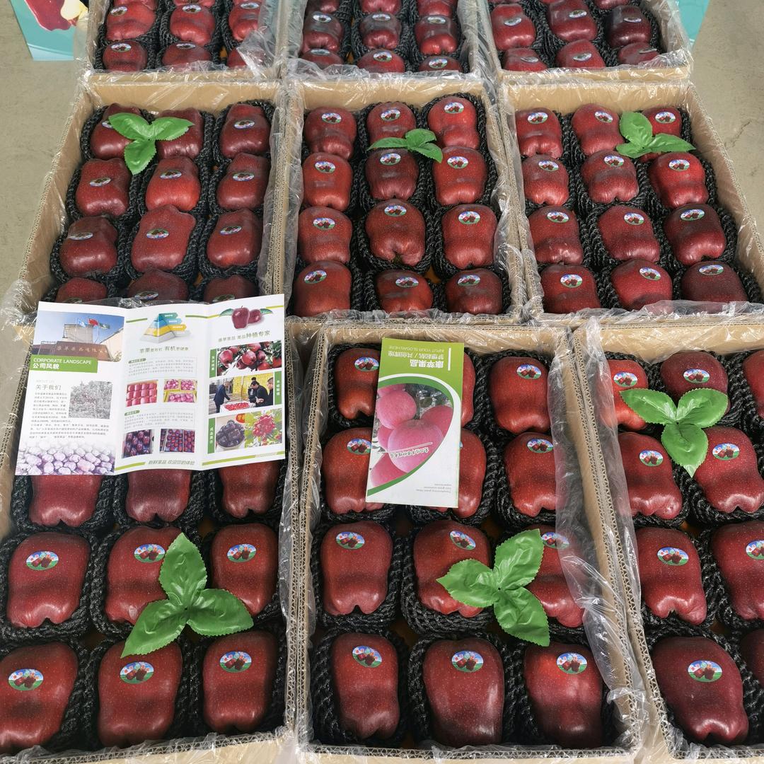 康苹果业康建娃