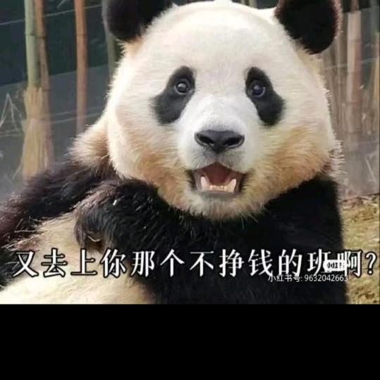 无声的钟