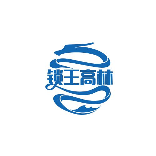锁王高林浩