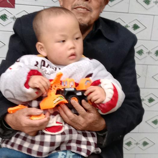 伍老大