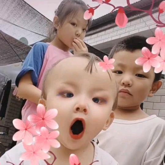 家有三宝轩航洋