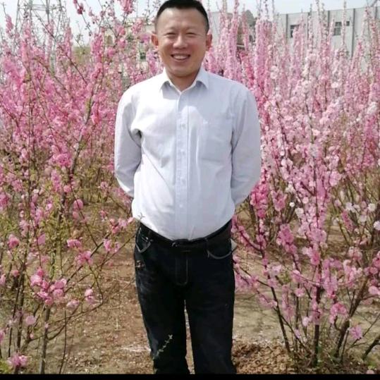 好人一生平安